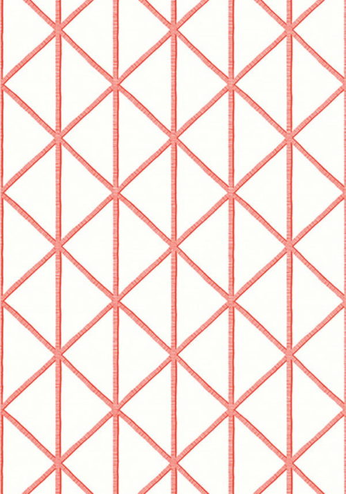 BOX KITE T10137